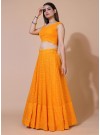 Dust-Orange Lucknowi Chikankari Work Stitched Lehenga Choli